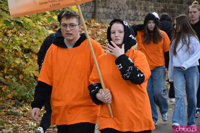 [WIDEO, FOTO] Udowodnili, że przemoc nie jest im obojętna. Marsz i piknik z okazji 19 dni przeciw przemocy w Żarowie