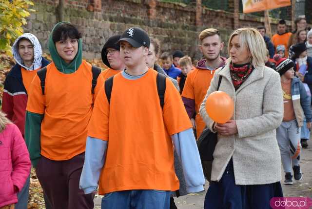 [WIDEO, FOTO] Udowodnili, że przemoc nie jest im obojętna. Marsz i piknik z okazji 19 dni przeciw przemocy w Żarowie