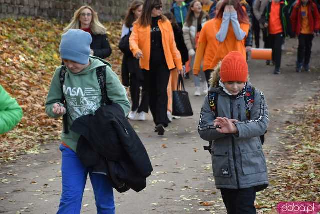 [WIDEO, FOTO] Udowodnili, że przemoc nie jest im obojętna. Marsz i piknik z okazji 19 dni przeciw przemocy w Żarowie