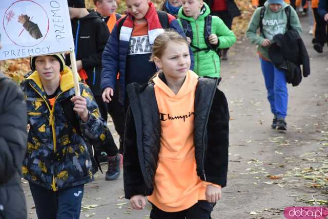 [WIDEO, FOTO] Udowodnili, że przemoc nie jest im obojętna. Marsz i piknik z okazji 19 dni przeciw przemocy w Żarowie