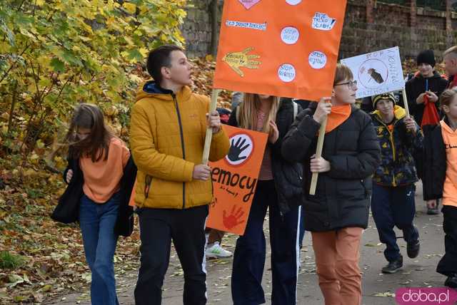 [WIDEO, FOTO] Udowodnili, że przemoc nie jest im obojętna. Marsz i piknik z okazji 19 dni przeciw przemocy w Żarowie