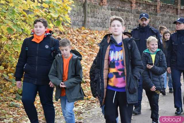 [WIDEO, FOTO] Udowodnili, że przemoc nie jest im obojętna. Marsz i piknik z okazji 19 dni przeciw przemocy w Żarowie
