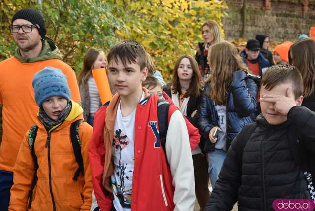 [WIDEO, FOTO] Udowodnili, że przemoc nie jest im obojętna. Marsz i piknik z okazji 19 dni przeciw przemocy w Żarowie