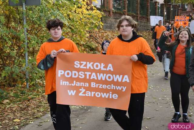 [WIDEO, FOTO] Udowodnili, że przemoc nie jest im obojętna. Marsz i piknik z okazji 19 dni przeciw przemocy w Żarowie