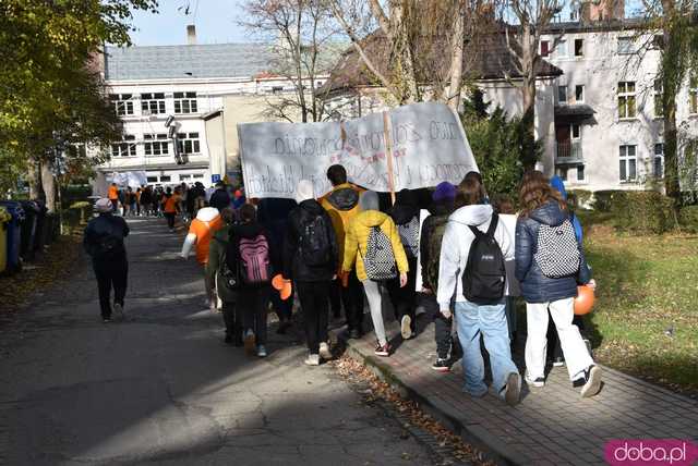 [WIDEO, FOTO] Udowodnili, że przemoc nie jest im obojętna. Marsz i piknik z okazji 19 dni przeciw przemocy w Żarowie