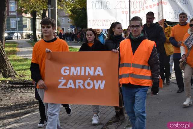 [WIDEO, FOTO] Udowodnili, że przemoc nie jest im obojętna. Marsz i piknik z okazji 19 dni przeciw przemocy w Żarowie