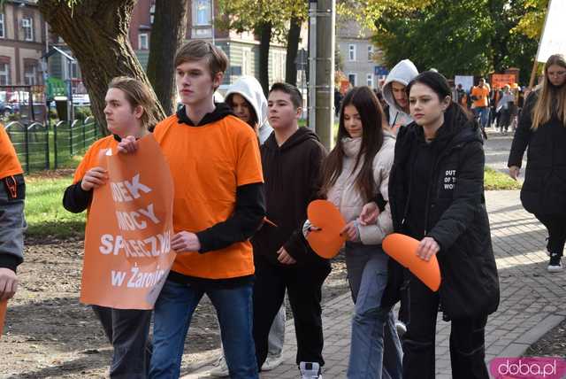 [WIDEO, FOTO] Udowodnili, że przemoc nie jest im obojętna. Marsz i piknik z okazji 19 dni przeciw przemocy w Żarowie