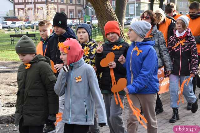 [WIDEO, FOTO] Udowodnili, że przemoc nie jest im obojętna. Marsz i piknik z okazji 19 dni przeciw przemocy w Żarowie