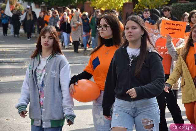 [WIDEO, FOTO] Udowodnili, że przemoc nie jest im obojętna. Marsz i piknik z okazji 19 dni przeciw przemocy w Żarowie