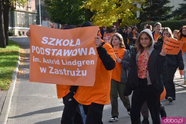 [WIDEO, FOTO] Udowodnili, że przemoc nie jest im obojętna. Marsz i piknik z okazji 19 dni przeciw przemocy w Żarowie