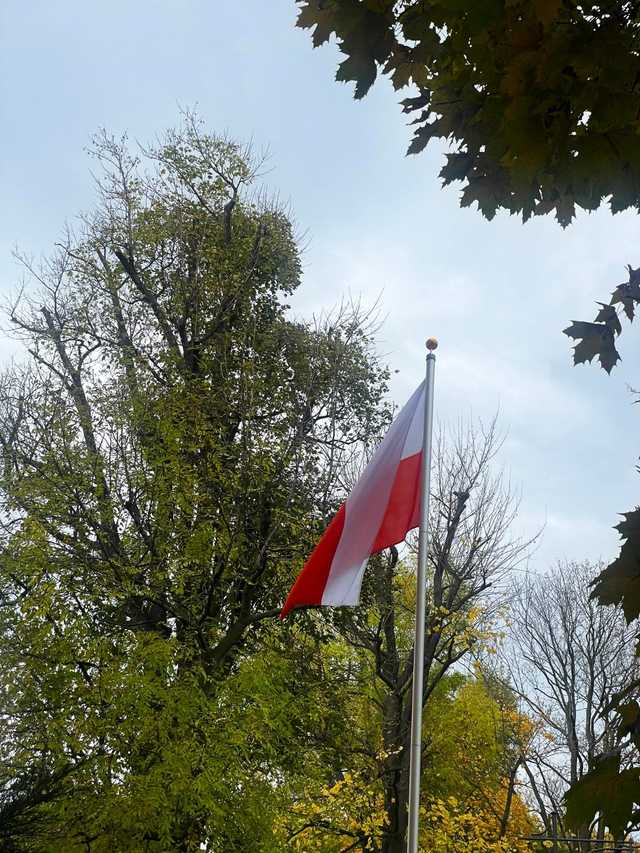 [FOTO] Święto Niepodległości w Zespole Szkół w Strzegomiu