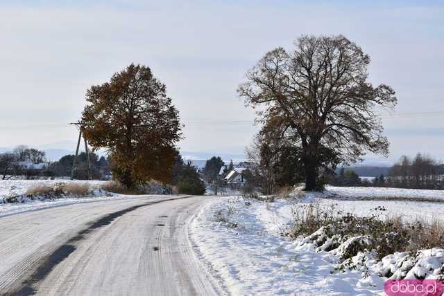 [FOTO] Zobacz urokliwe zakątki powiatu w zimowej scenerii