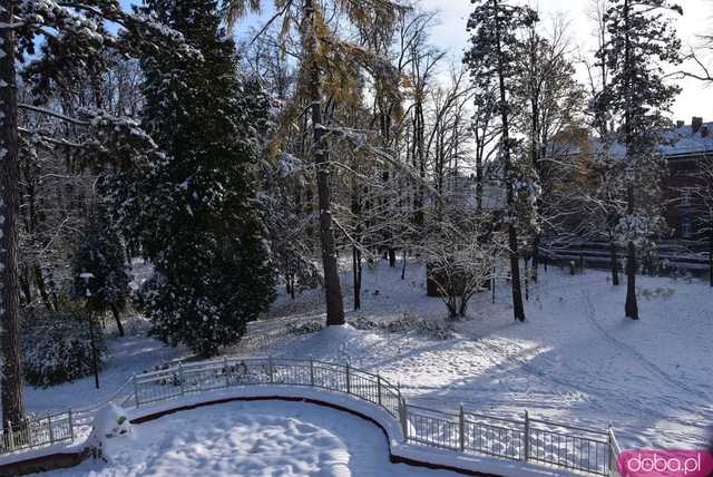 [FOTO] Zobacz urokliwe zakątki powiatu w zimowej scenerii