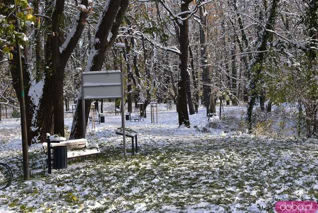 [FOTO] Zobacz urokliwe zakątki powiatu w zimowej scenerii