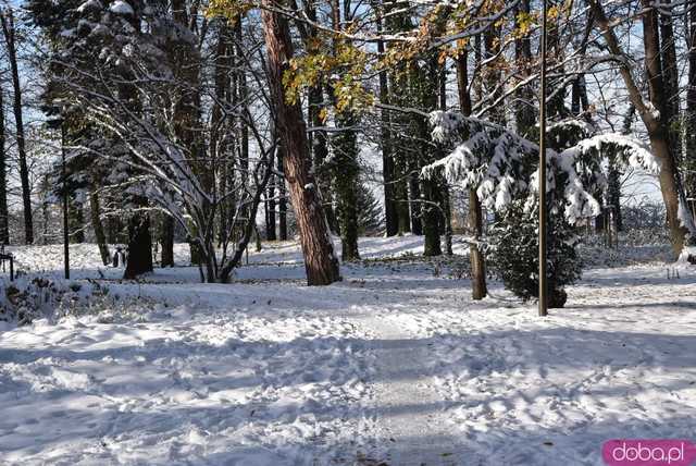 [FOTO] Zobacz urokliwe zakątki powiatu w zimowej scenerii