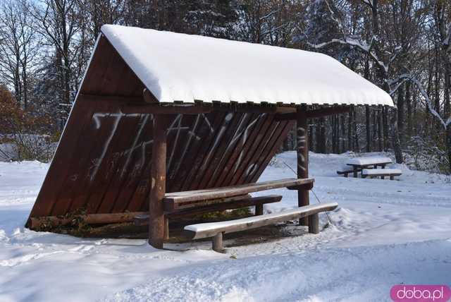 [FOTO] Zobacz urokliwe zakątki powiatu w zimowej scenerii