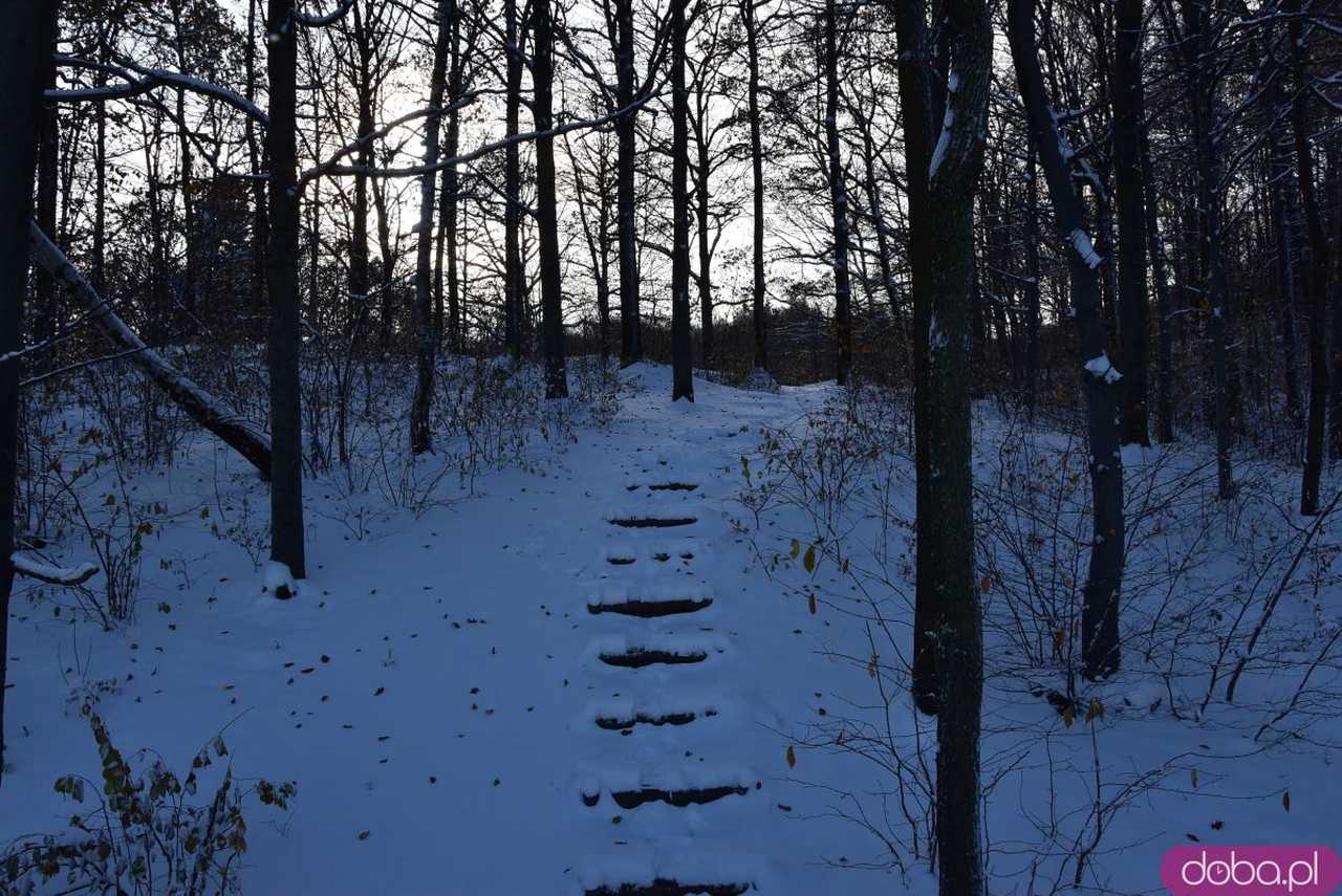 [FOTO] Zobacz urokliwe zakątki powiatu w zimowej scenerii