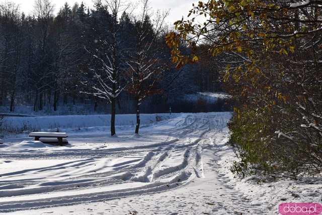 [FOTO] Zobacz urokliwe zakątki powiatu w zimowej scenerii