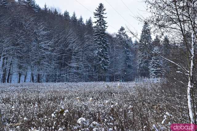 [FOTO] Zobacz urokliwe zakątki powiatu w zimowej scenerii