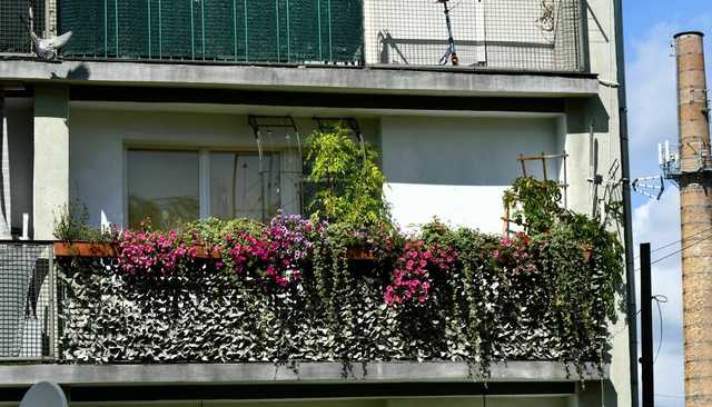 [FOTO] Doceniono najpiękniejsze balkony, okna i posesje w Świebodzicach