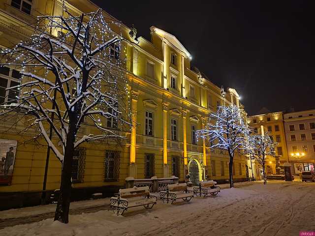 [FOTO] Świąteczny nastrój w centrum miasta. Na świdnickim rynku stanęła choinka