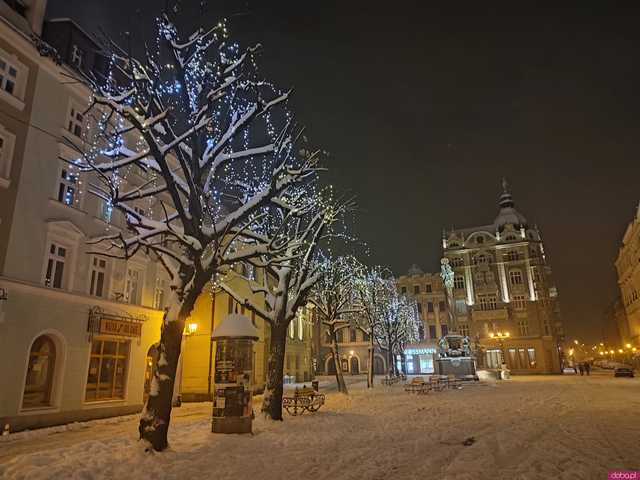 [FOTO] Świąteczny nastrój w centrum miasta. Na świdnickim rynku stanęła choinka