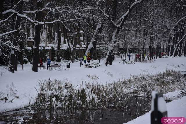 [FOTO] Pobiegli zaśnieżonymi alejkami Parku Centralnego. Finał Świdnickich Biegów Parkowych
