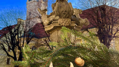 Czy w Świdnicy jest świąteczny klimat? Dla tych, którzy go uwiecznią na zdjęciu czekają nagrody! [SZCZEGÓŁY]