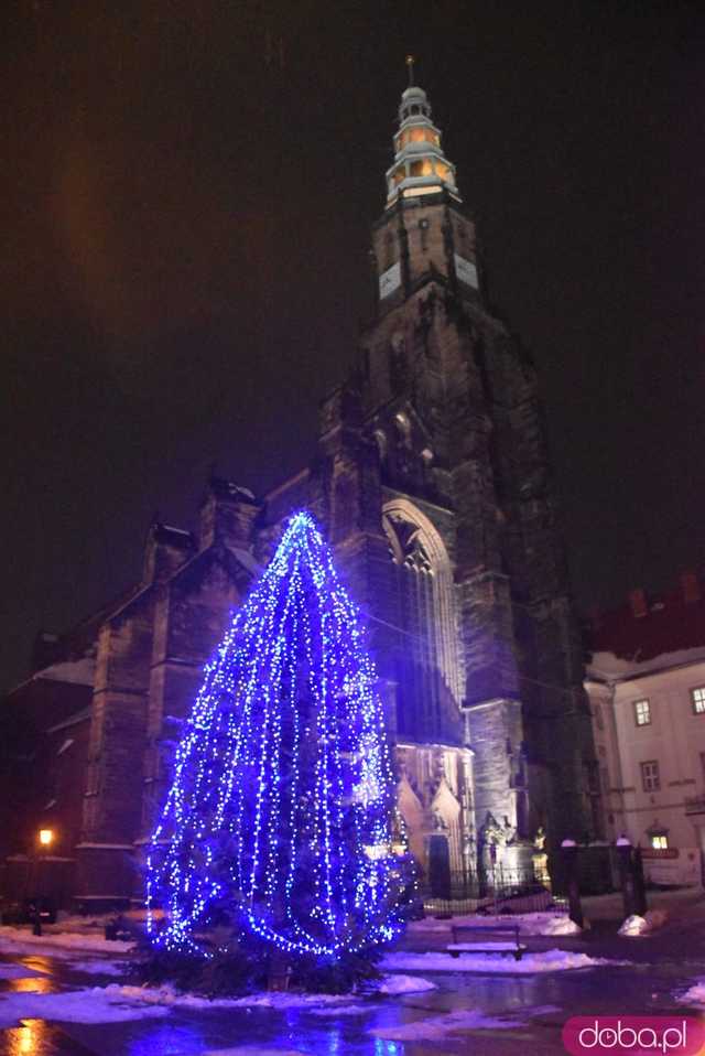 [FOTO] Świąteczny klimat w sercu miasta. Rozbłysły choinki i bożonarodzeniowe iluminacje