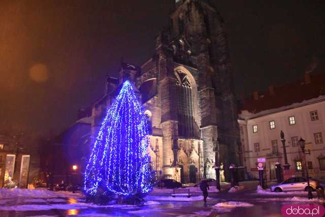 [FOTO] Świąteczny klimat w sercu miasta. Rozbłysły choinki i bożonarodzeniowe iluminacje