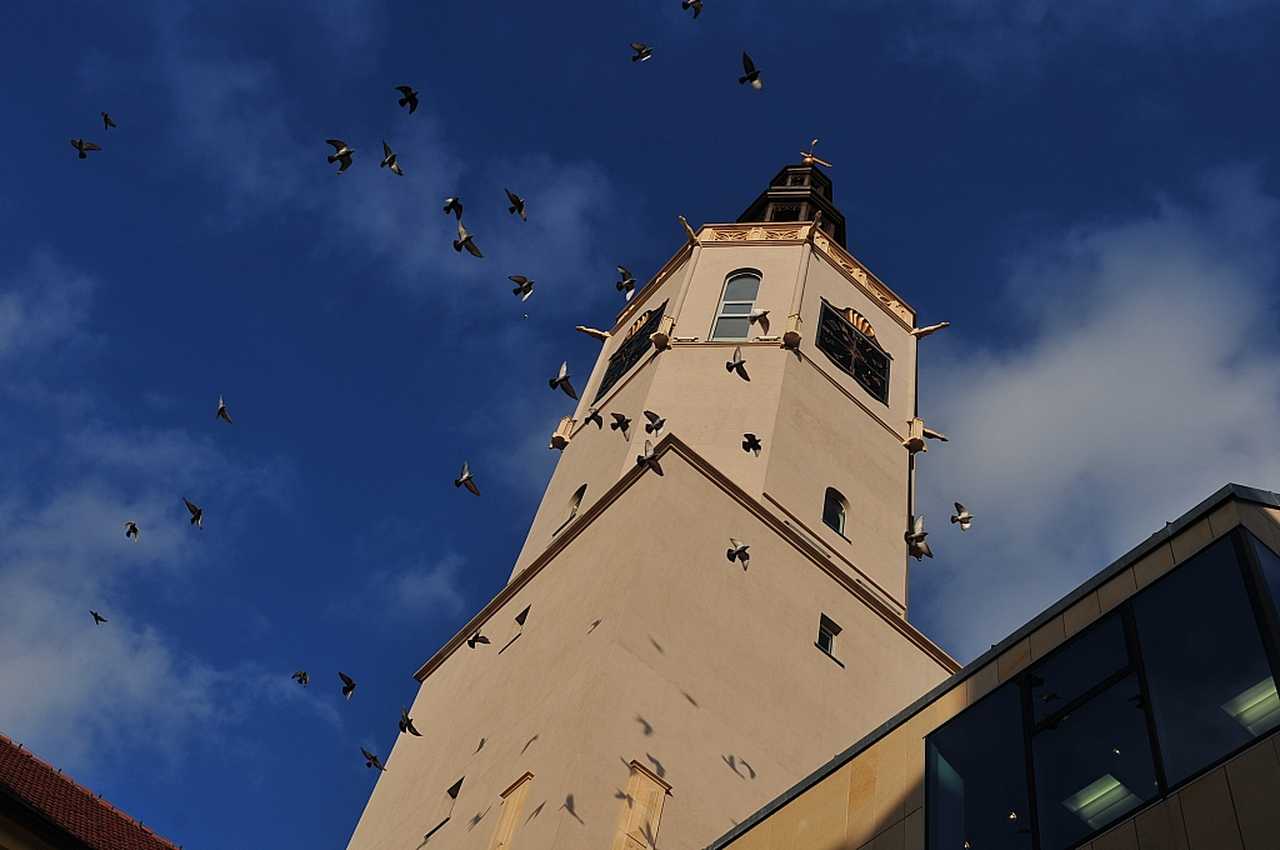 [FOTO] Historyczne maszkarony wróciły do wieży ratuszowej! Gdzie dokładnie można je podziwiać?