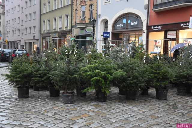 [WIDEO, FOTO] Wystartował świdnicki Jarmark Bożonarodzeniowy! Do kiedy można odwiedzić stoiska?