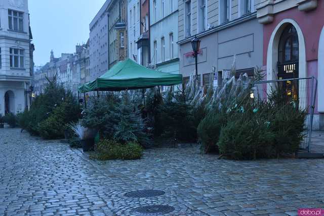 [WIDEO, FOTO] Wystartował świdnicki Jarmark Bożonarodzeniowy! Do kiedy można odwiedzić stoiska?