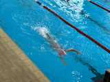 Pływackie zawody Neptun Świdnica Swimming Meeting za nami