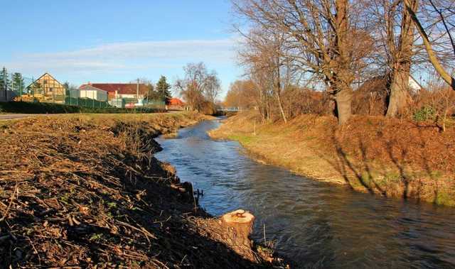 [FOTO] Wykonano I etap porządkowania Nysy Szalonej