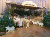 [FOTO] Jasełka i świąteczne przedstawienia w świebodzickich szkołach