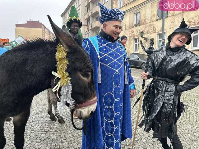 [FOTO, VIDEO] Trzej królowie z osiołkami zawitali do Świdnicy