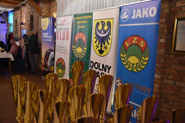 [FOTO] Gmina Świdnica zajęła 1. miejsce w sportowych zmaganiach Igrzysk Miast i Wsi