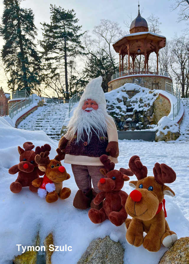 [FOTO] Magia świąt na ulicach miasta w obiektywie świdniczan. Rozstrzygnięto konkurs fotograficzny