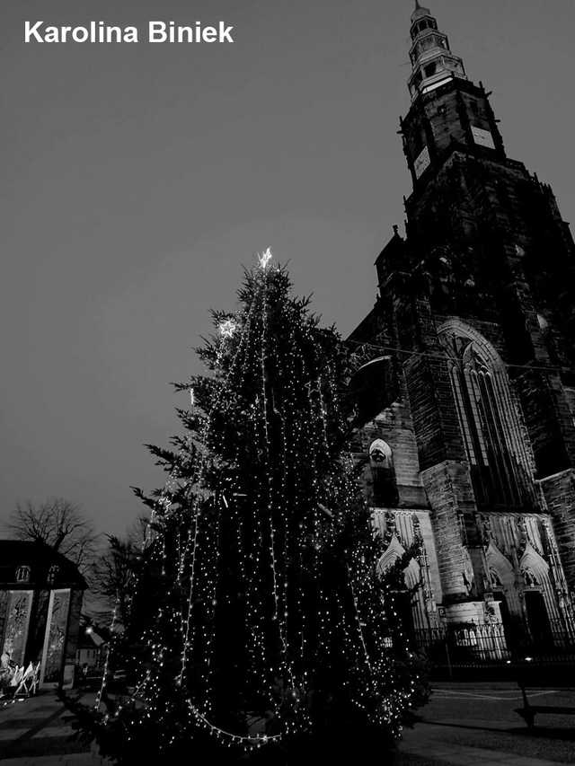[FOTO] Magia świąt na ulicach miasta w obiektywie świdniczan. Rozstrzygnięto konkurs fotograficzny