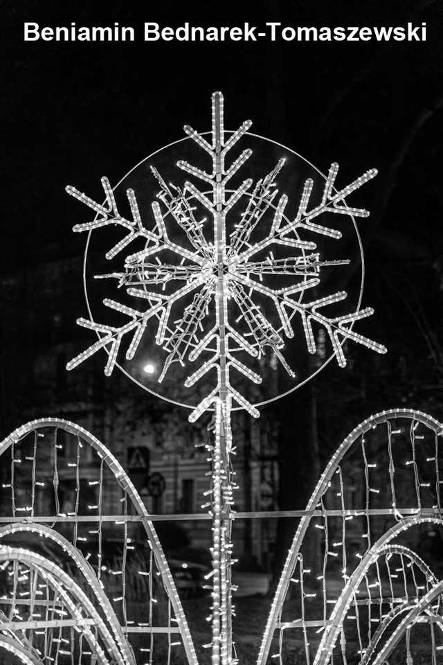 [FOTO] Magia świąt na ulicach miasta w obiektywie świdniczan. Rozstrzygnięto konkurs fotograficzny