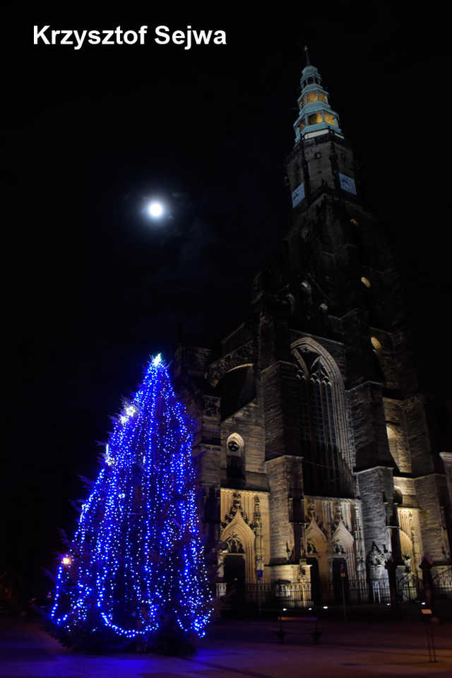 [FOTO] Magia świąt na ulicach miasta w obiektywie świdniczan. Rozstrzygnięto konkurs fotograficzny