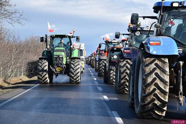 [WIDEO, FOTO] Rolnicy protestowali na krajowej piątce w Strzegomiu