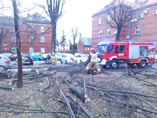 [FOTO] Konar drzewa runął na samochody. Strażacy usuwają skutki silnego wiatru