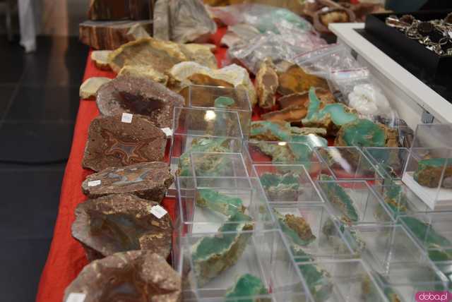 [FOTO] Zobaczcie te okazy! Ruszyła Giełda Minerałów i Biżuterii z kamieni szlachetnych i półszlachetnych