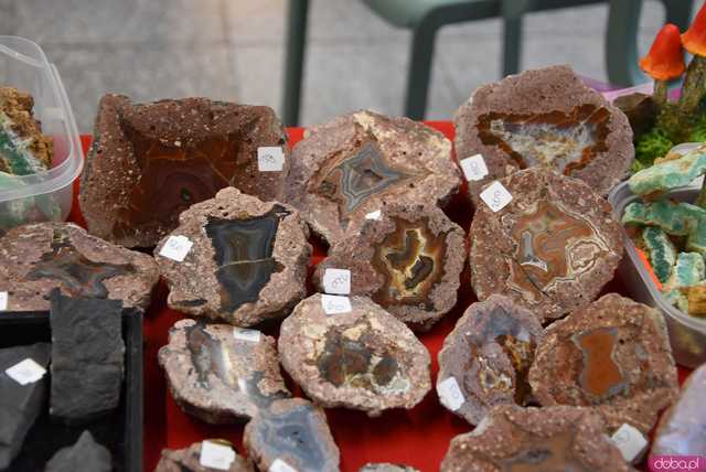 [FOTO] Zobaczcie te okazy! Ruszyła Giełda Minerałów i Biżuterii z kamieni szlachetnych i półszlachetnych