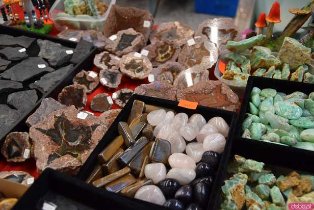 [FOTO] Zobaczcie te okazy! Ruszyła Giełda Minerałów i Biżuterii z kamieni szlachetnych i półszlachetnych