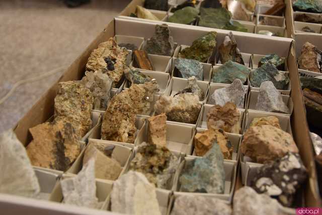 [FOTO] Zobaczcie te okazy! Ruszyła Giełda Minerałów i Biżuterii z kamieni szlachetnych i półszlachetnych