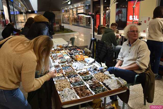 [FOTO] Zobaczcie te okazy! Ruszyła Giełda Minerałów i Biżuterii z kamieni szlachetnych i półszlachetnych