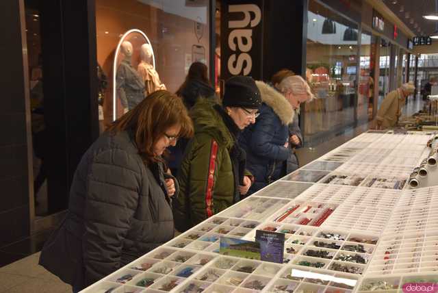[FOTO] Zobaczcie te okazy! Ruszyła Giełda Minerałów i Biżuterii z kamieni szlachetnych i półszlachetnych